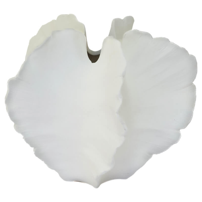 White ceramic vase with a scalloped edge 